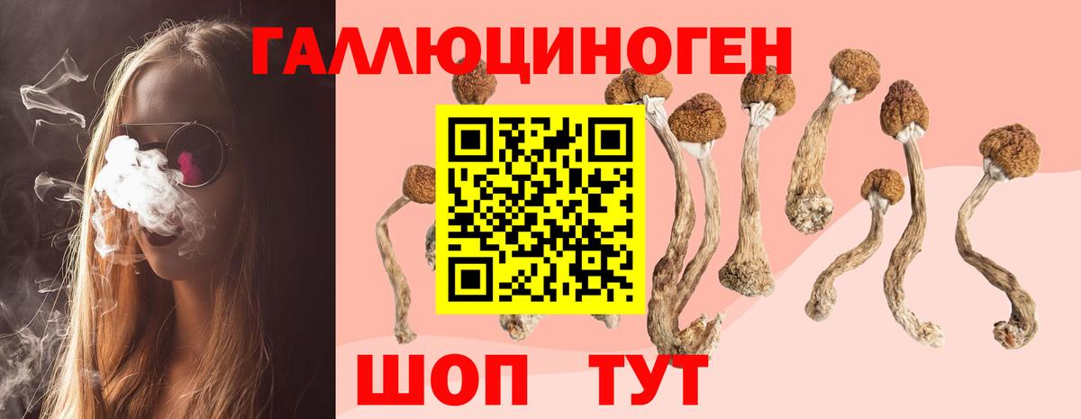 Галлюциногенные грибы GOLDEN TEACHER Менделеевск
