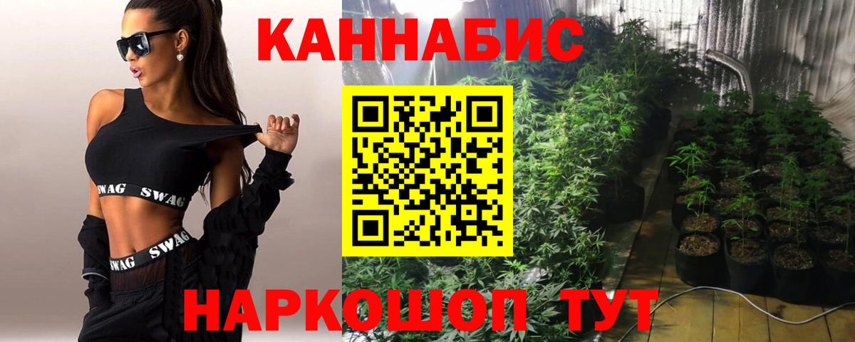 Бошки Шишки сатива Менделеевск